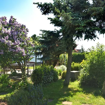 Small Detached Holiday In Cattenstedt, Harz, With Private Terrace Holiday home *