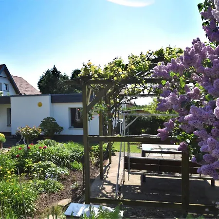 Small Detached Holiday In Cattenstedt, Harz, With Private Terrace